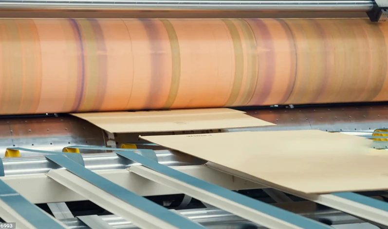 Packaging printing plate solutions